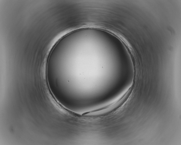 X0000115731246200911121505