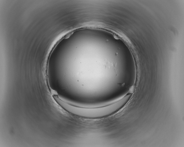 X0000115731248200911121505