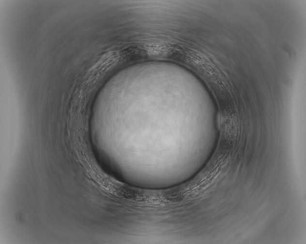 X0000115731249200911121505