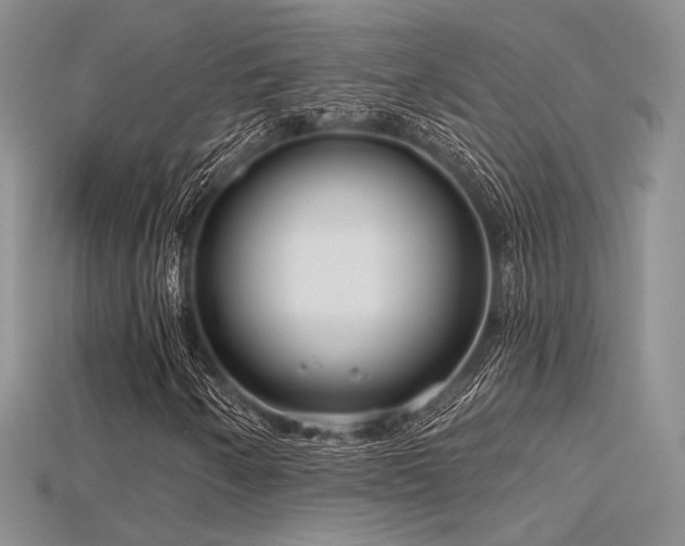 X0000115731250200911121504