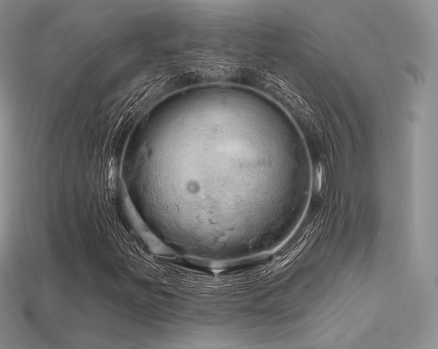 X0000115731251200911121504
