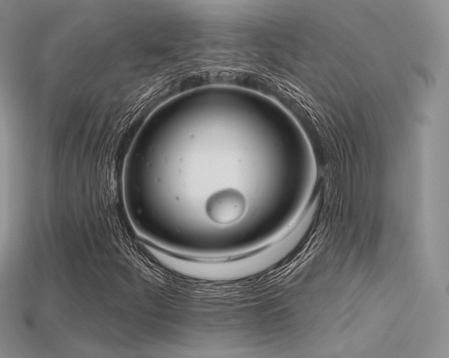 X0000115731252200911121504