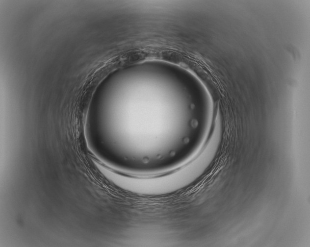 X0000115731253200911121504