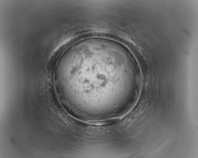 X0000115731255200911121504