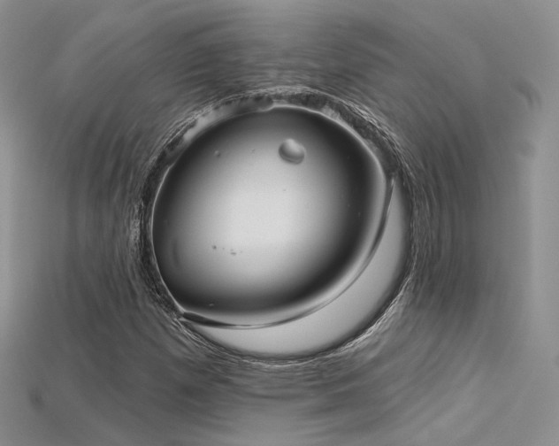 X0000115731257200911121504