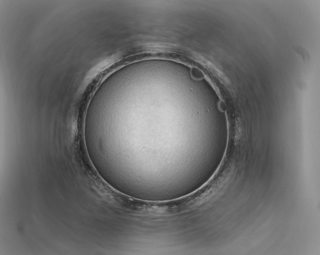 X0000115731261200911121504