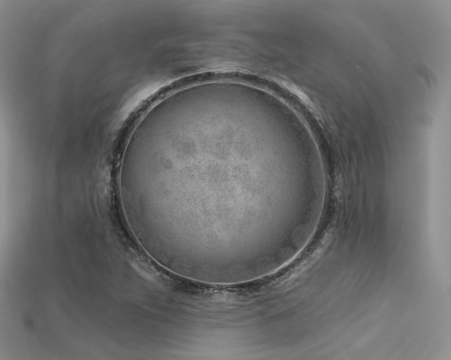 X0000115731263200911121504