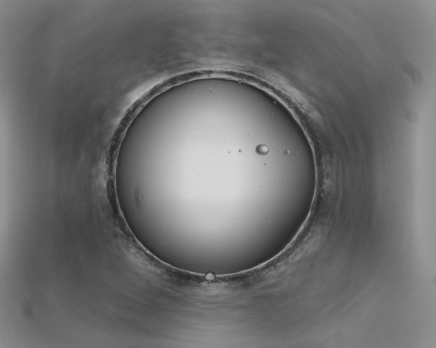 X0000115731264200911121504