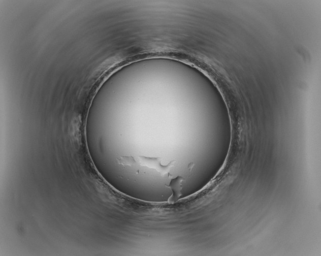X0000115731265200911121504