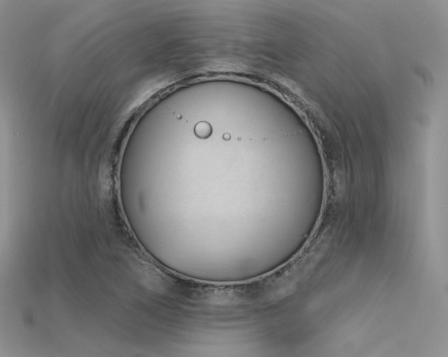 X0000115731266200911121504