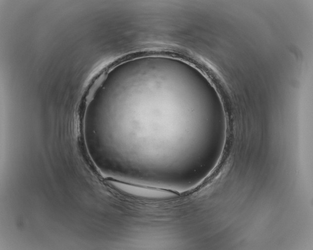 X0000115731267200911121504