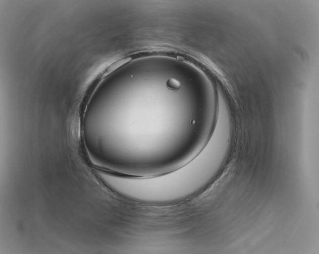 X0000115731269200911121504
