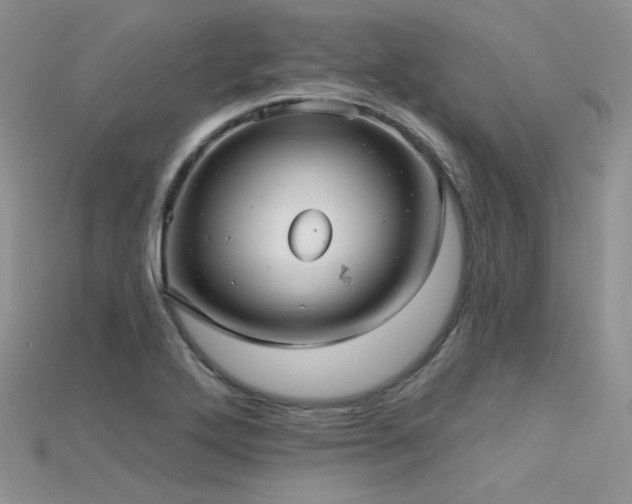 X0000115731272200911121504