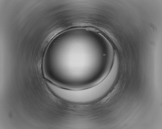 X0000115731273200911121504