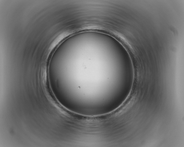 X0000115731274200911121504