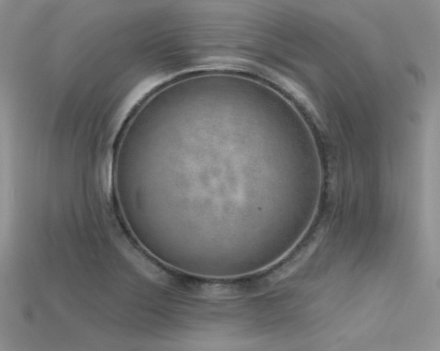 X0000115731275200911121504