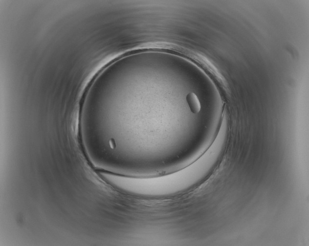 X0000115731276200911121504