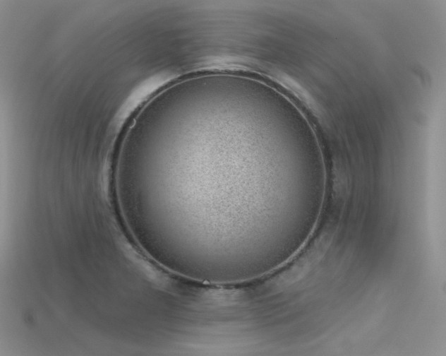 X0000115731277200911121504