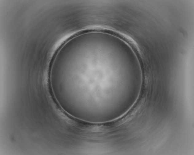 X0000115731279200911121504
