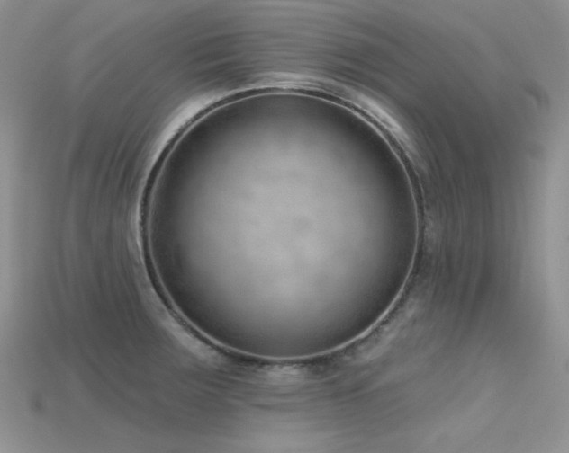 X0000115731283200911121504