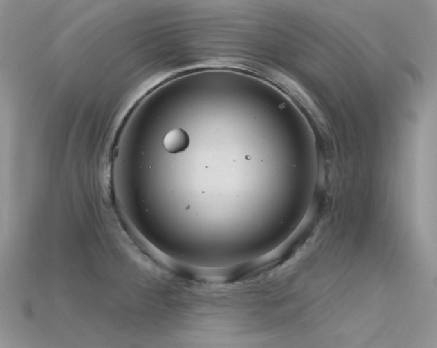 X0000115731284200911121504