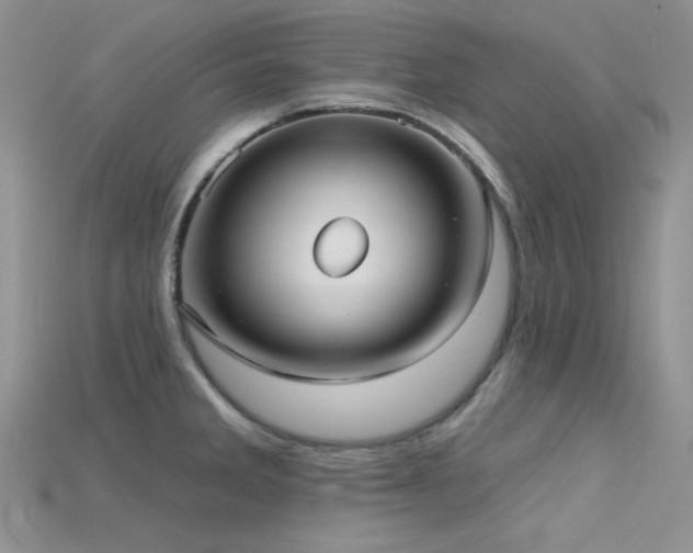 X0000115731285200911121504