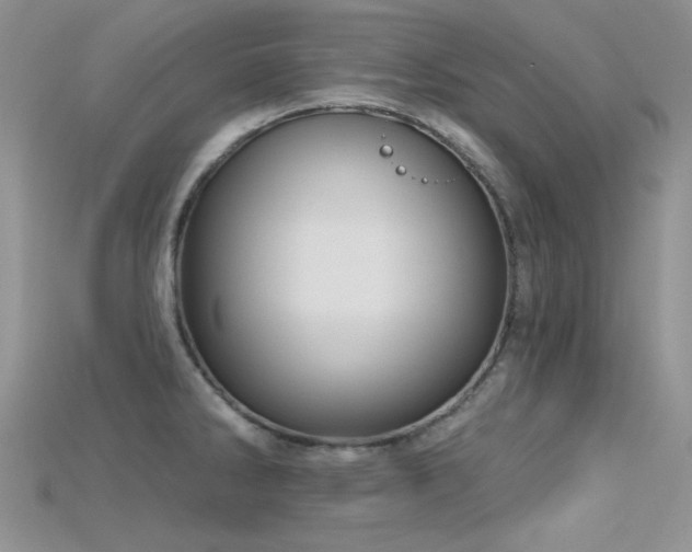 X0000115731286200911121504