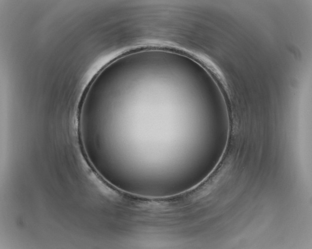 X0000115731287200911121504