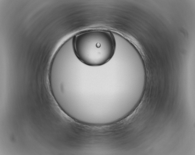 X0000115731288200911121504