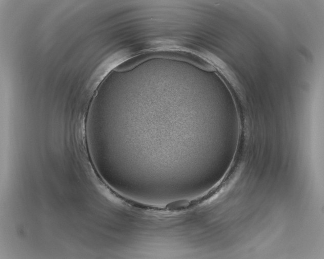 X0000115731289200911121504