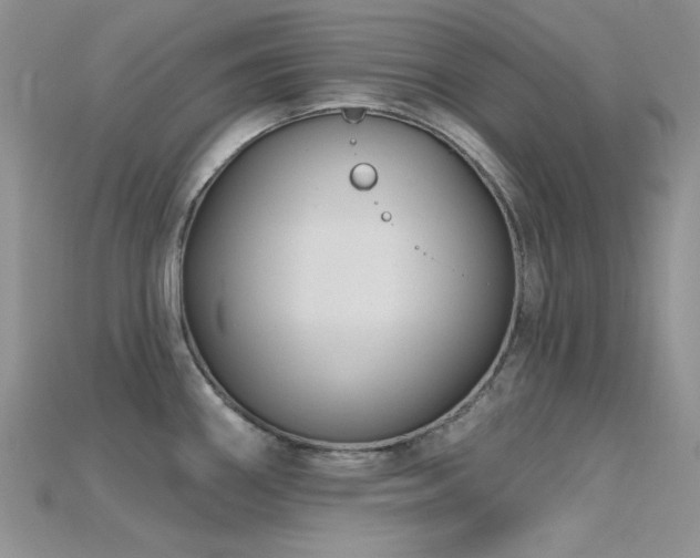 X0000115731290200911121504