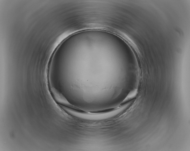X0000115731291200911121504