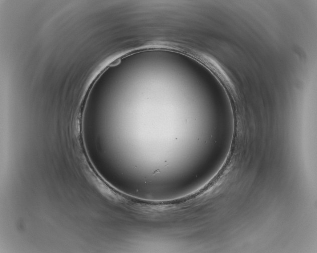 X0000115731292200911121504