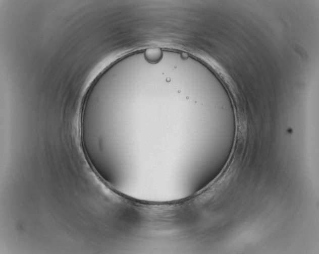 X0000115731294200911121504