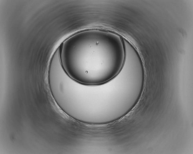X0000115731296200911121504