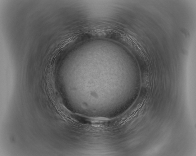 X0000115731297200911121503