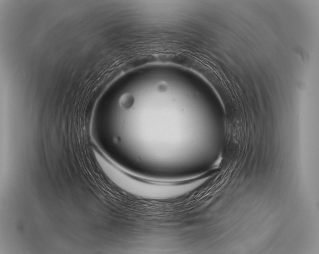 X0000115731298200911121503