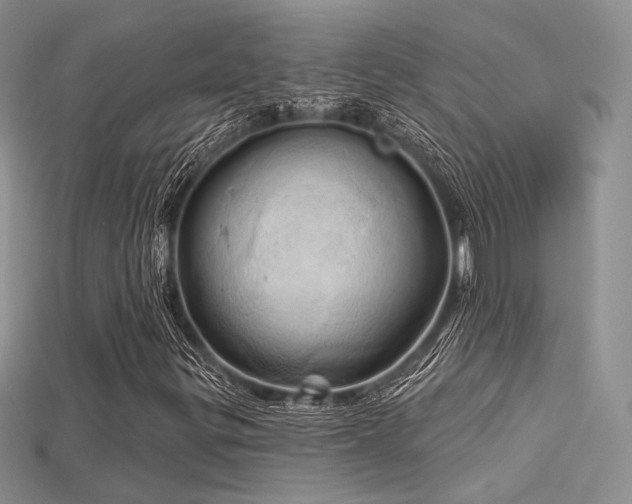 X0000115731299200911121503