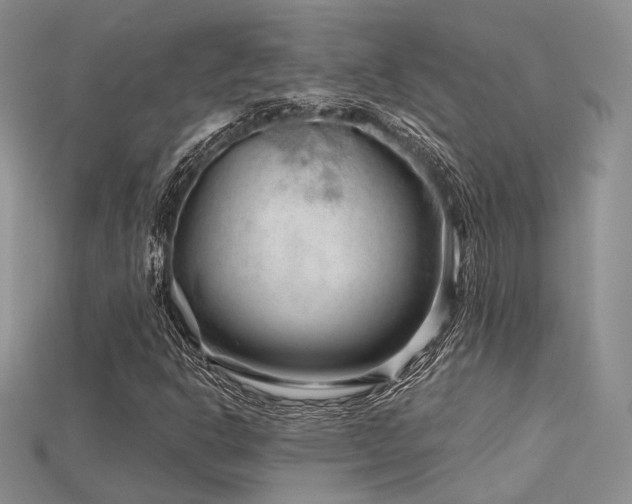 X0000115731302200911121503