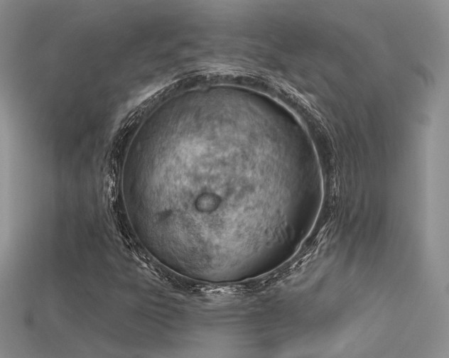 X0000115731303200911121503