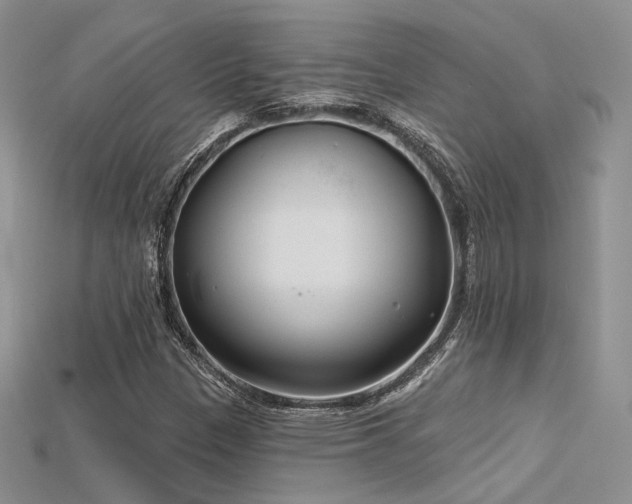 X0000115731305200911121503