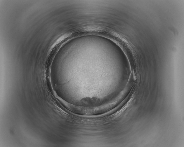 X0000115731306200911121503