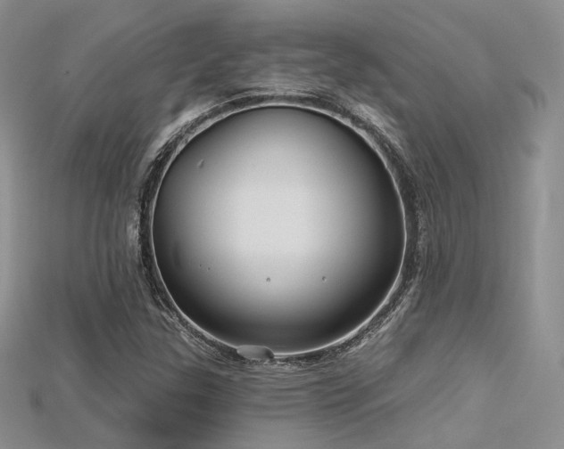 X0000115731307200911121503