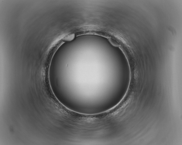 X0000115731309200911121503
