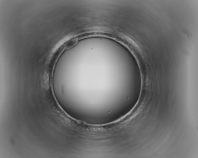 X0000115731310200911121503