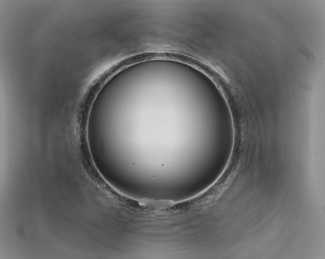 X0000115731311200911121503