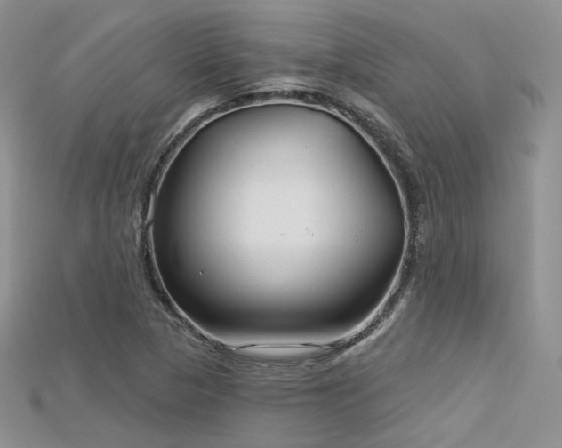 X0000115731313200911121503