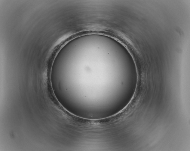 X0000115731315200911121504