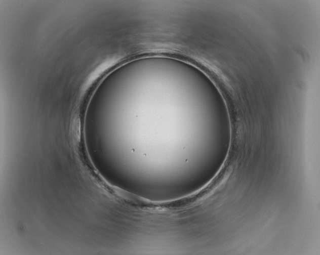 X0000115731317200911121504