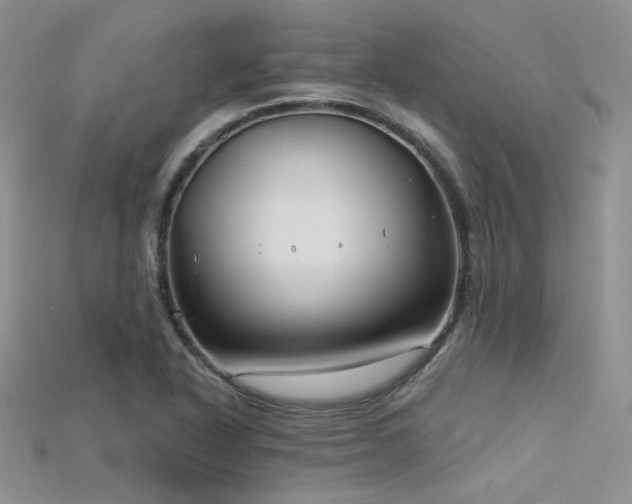 X0000115731318200911121504